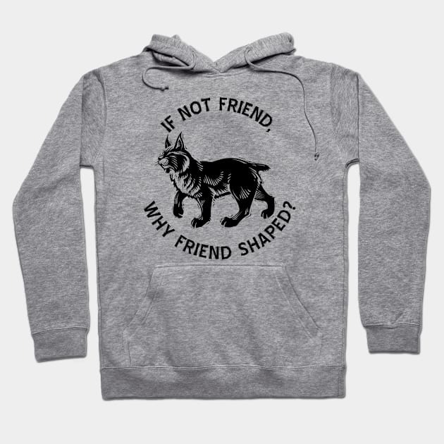 If not friend, why friend shaped? Hoodie by Geeks With Sundries